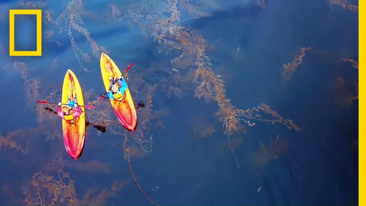 Monterey Bay Marine Sanctuary | National Geographic