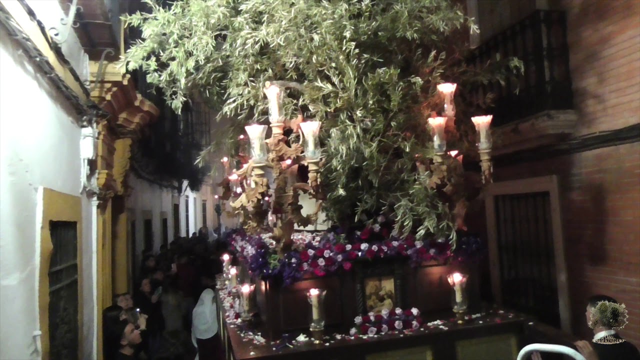 AM Redención (Córdoba) - Oh Bendita Estrella - Beso de Judas (Salud de Puerta Nueva)