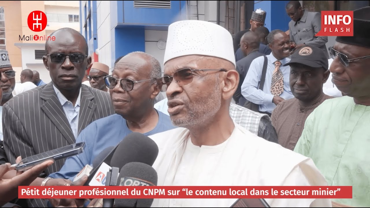 CONTENU LOCAL AU MALI, QUELS RÔLES DU SECTEUR PRIVÉ MALIEN ?