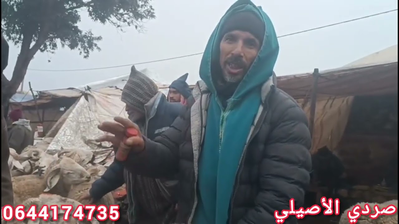من سوق الخميس سيدي حجاج 29/01/2026         إقليم سطات 