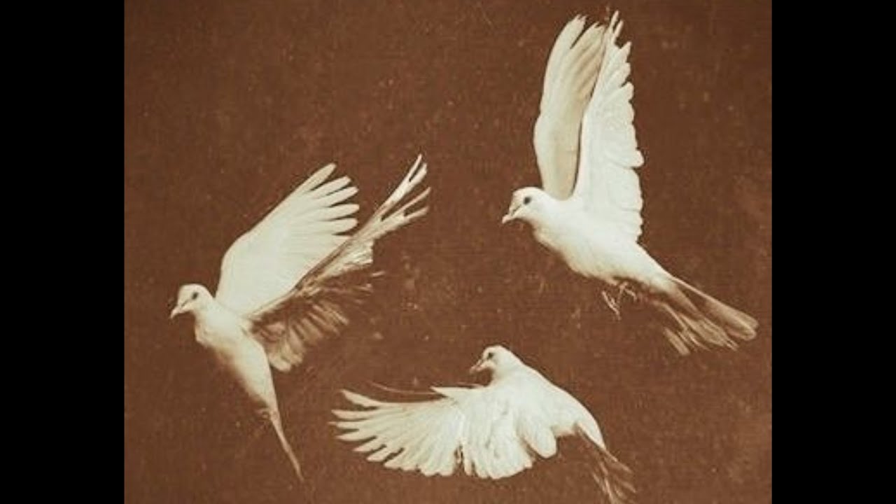 Soulful Gospel Sample Type Beat - 