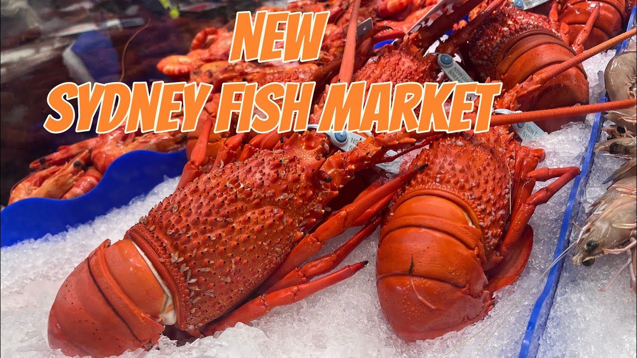 Inside Sydney’s New Fish Market | The Largest Seafood Market in the Southern Hemisphere