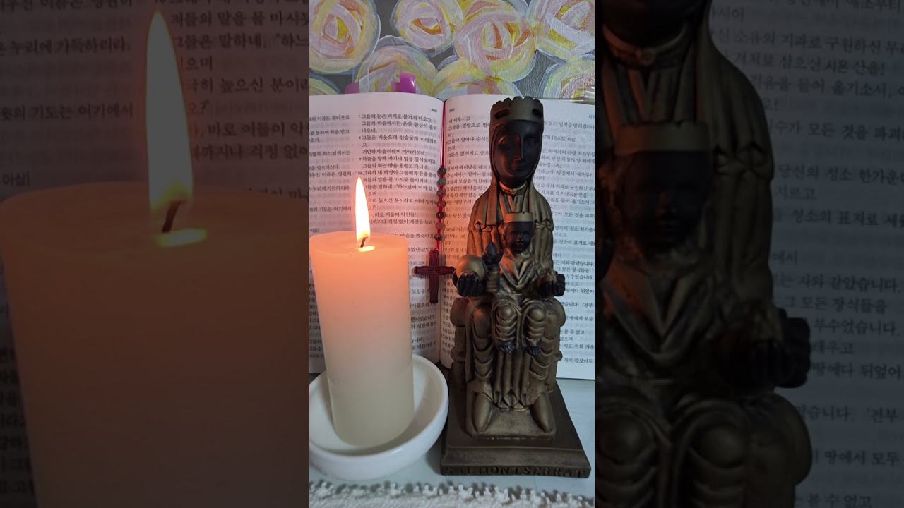 묵주기도일기20260214 환희의 신비 묵주기도5단 