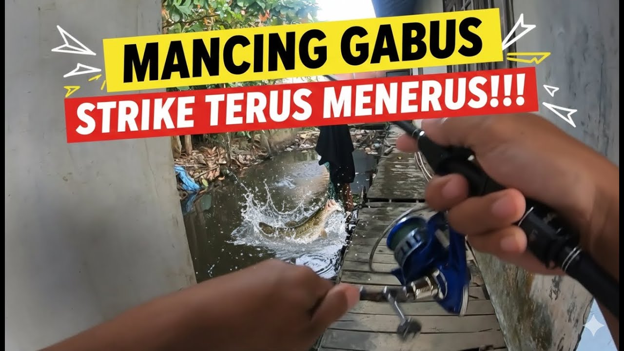 8# ibnul vlog ngesting gabus di tempat tersembunyi di banjarmasin