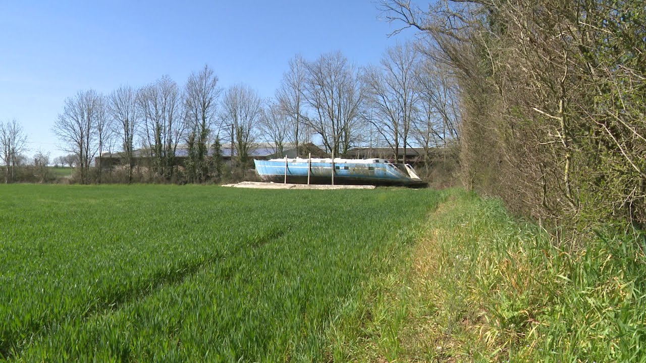 Deux-Sèvres : à vendre voilier d'exception perdu au cœur du marais poitevin