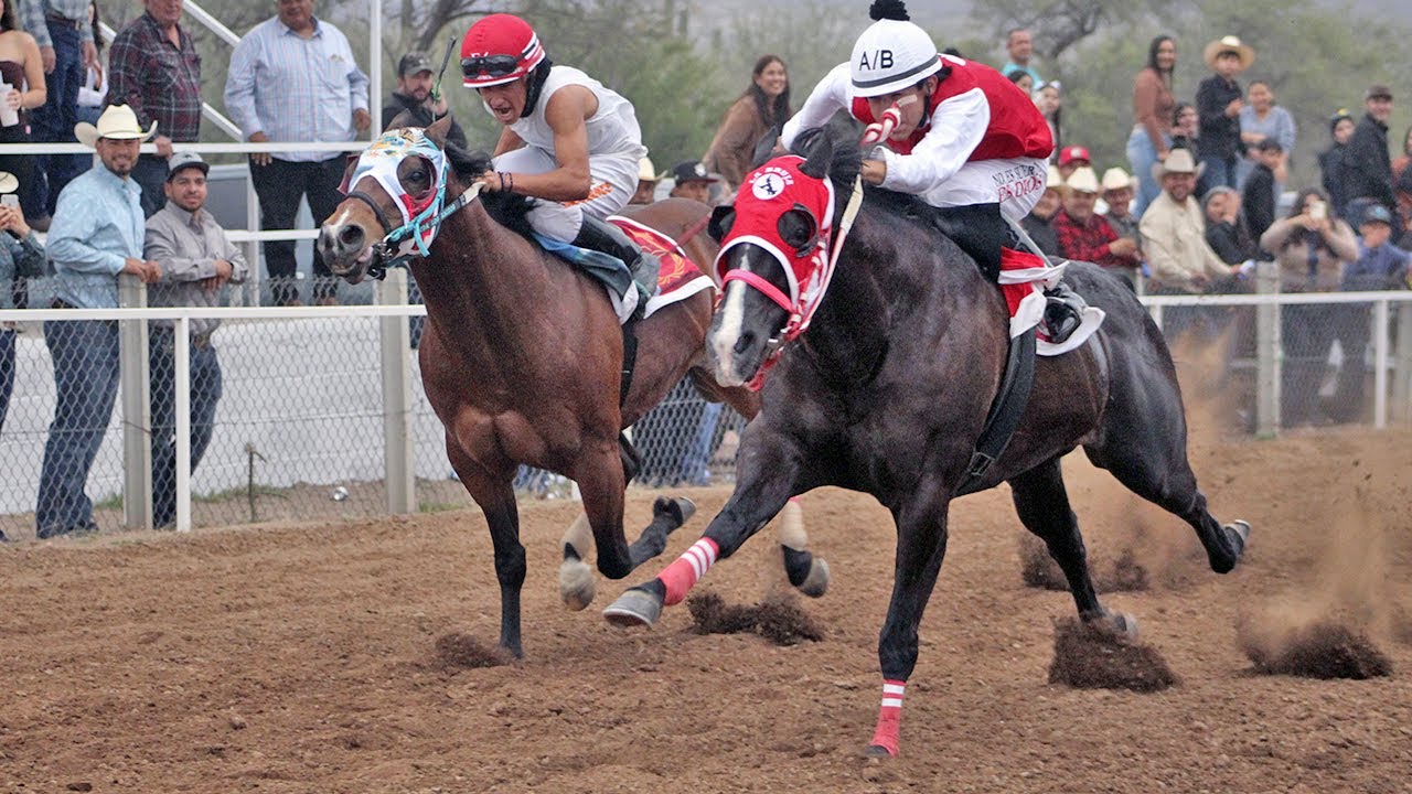 Carreras de Caballos en Cucurpe 31 Diciembre 2025
