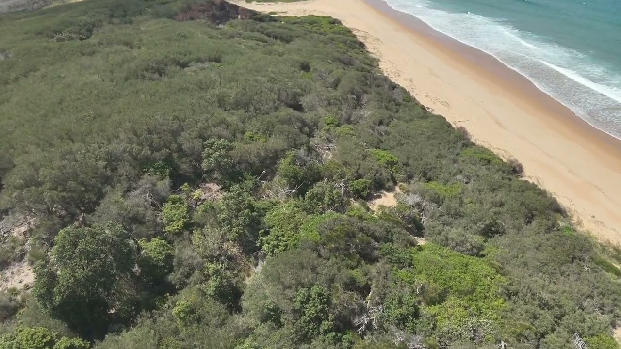 Looking for Bitou with DJI Mavic 3 Enterprise