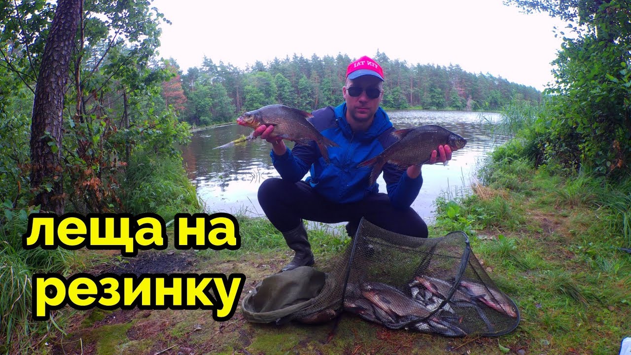 ЛЕЩ НА РЕЗИНКУ,ОПЯТЬ НА ЭТОМ ЖЕ ОЗЕРЕ. РЫБАЛКА 27.08.2022