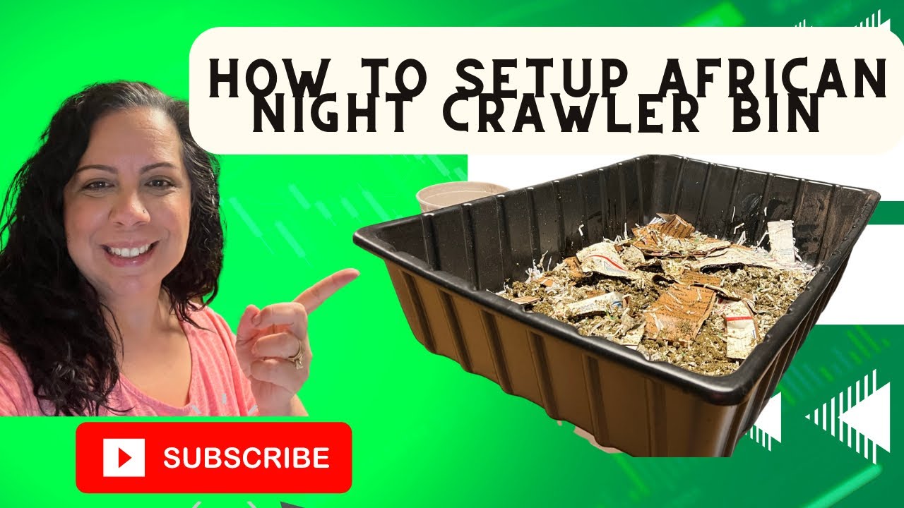 African Night Crawlers bin ingredients, all species worm bin. Loads of tips TheGardenAndWormLady.com
