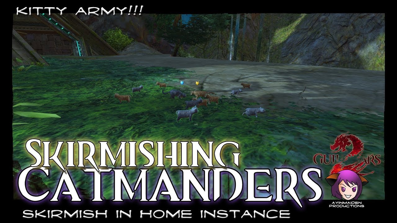 GW2 Catmander Skirmish in Home Instance
