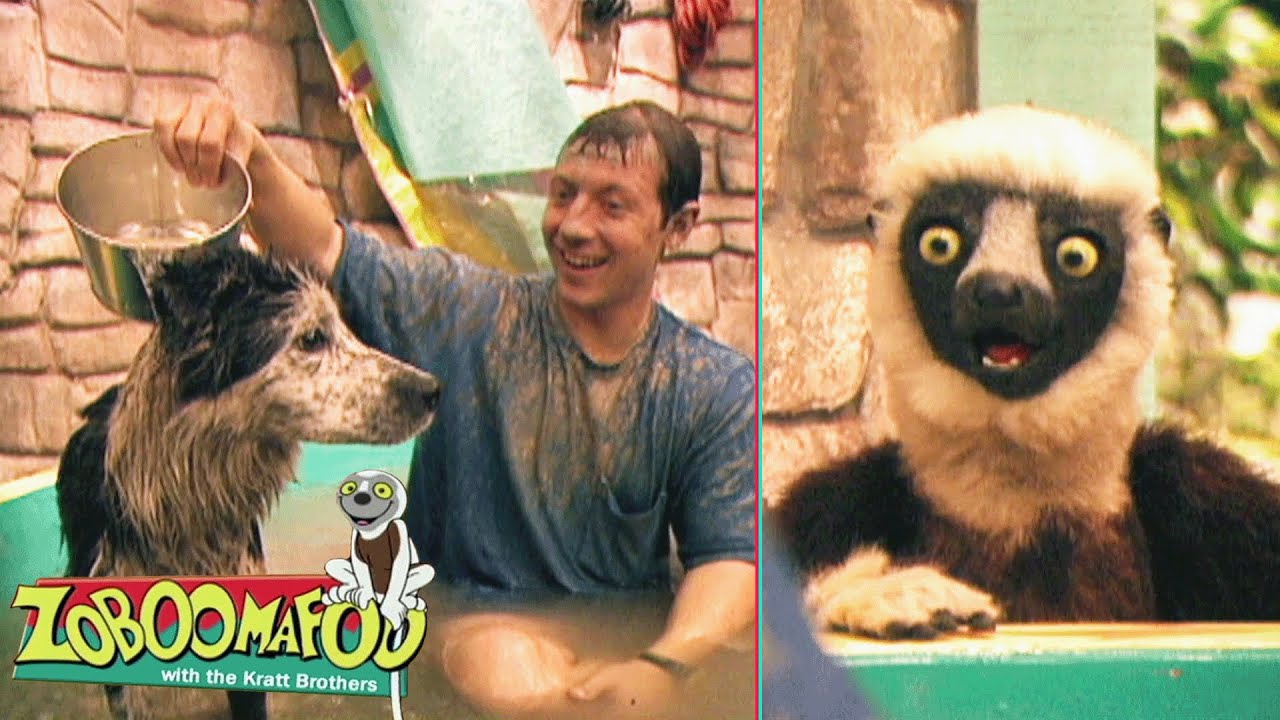 Hora do Banho | Zoboomafoo Português - WildBrain | Episódios Completos para Crianças