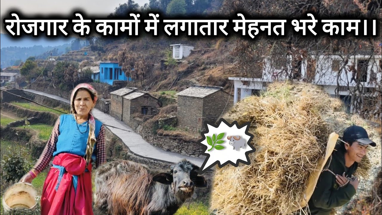 अब कुछ दिन तक लगातार रोजगार के कामों पर।।#dailyvlogs #phadilifestyle 