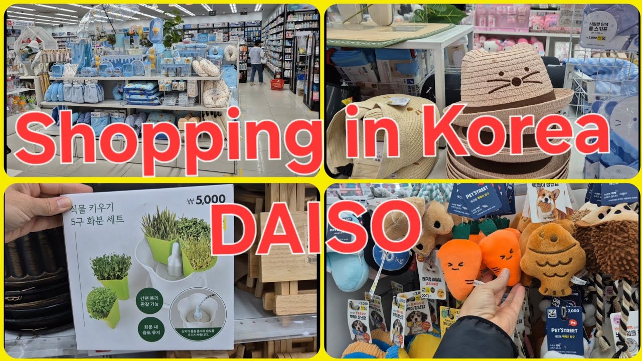 Shopping in Korea. | DAISO.