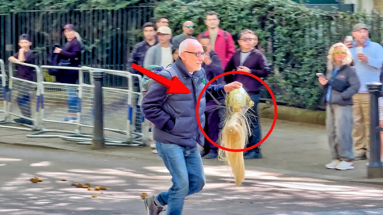 Tourist’s Bold Move: Grabs Helmet of British Horse Guard