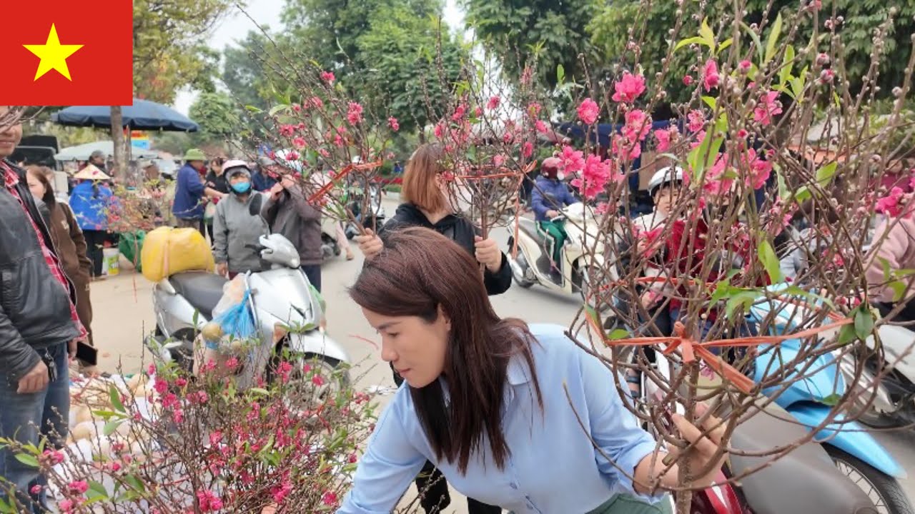 Traditional Tet Flower Market, overflowing with affordable peach blossoms for Tet 2026.