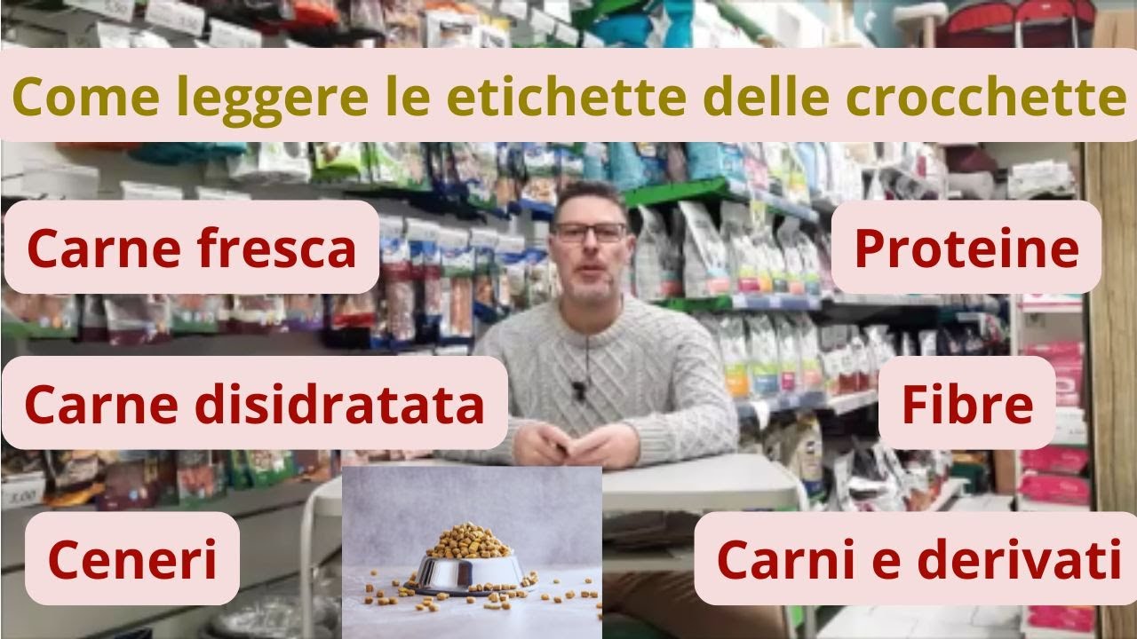 Come Leggere l’Etichetta delle Crocchette dei Cani