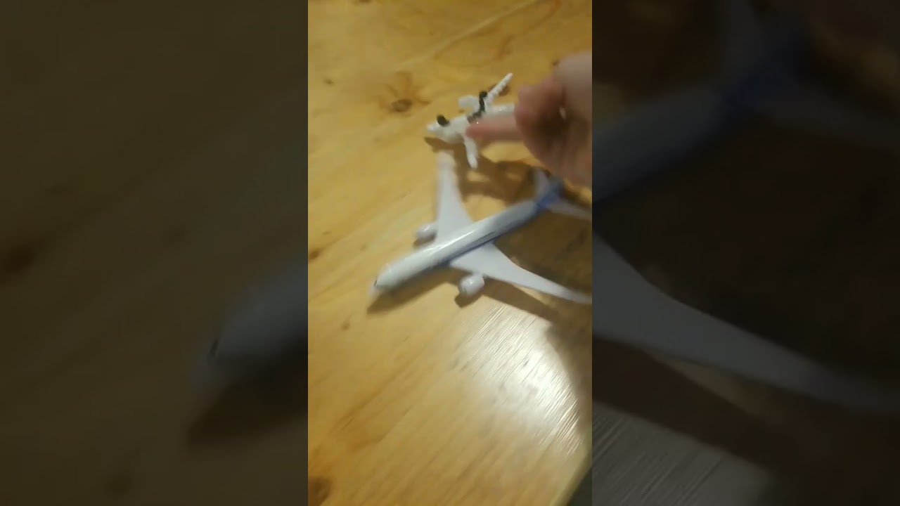beluga chrashes into 787