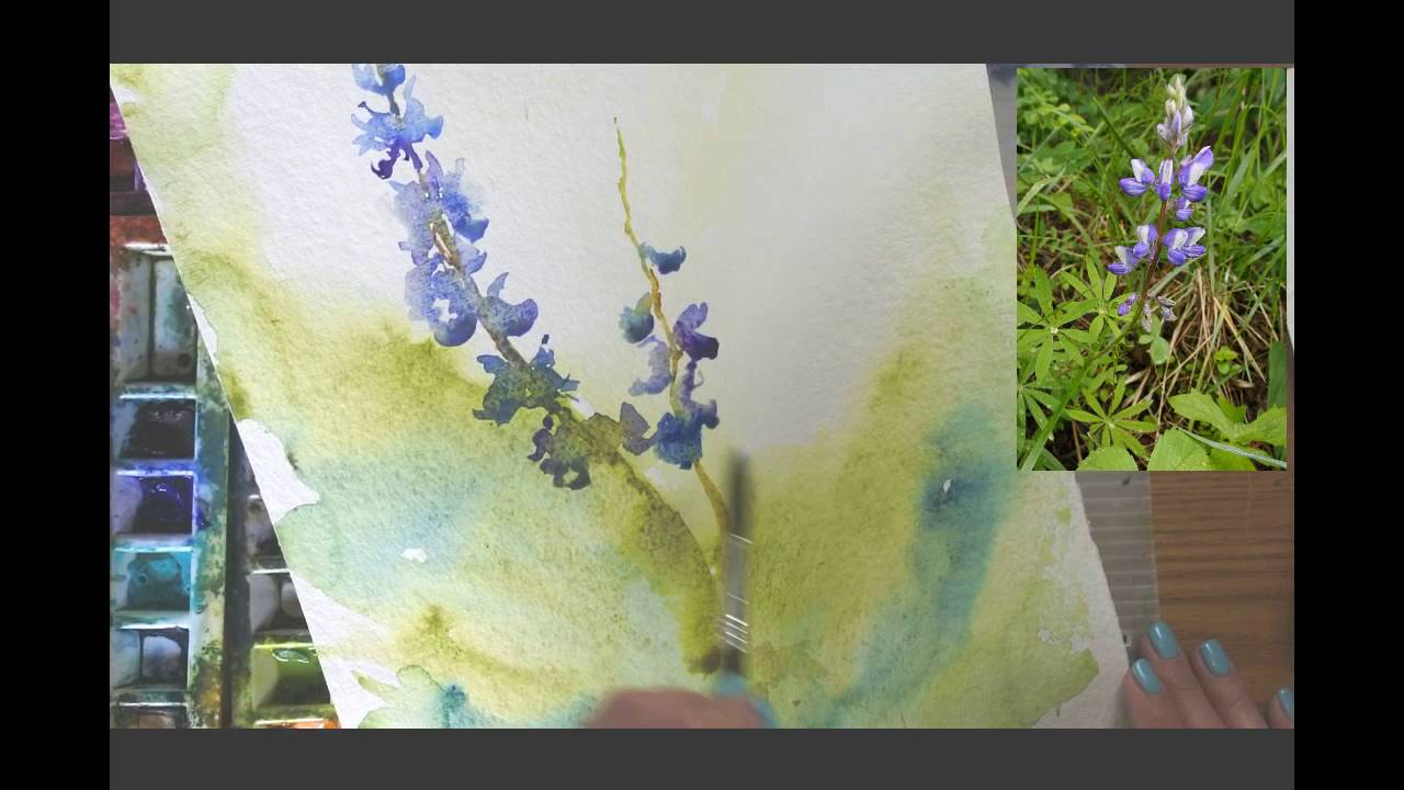 Watercolor Lesson: Painting Lupines with a Wet in Wet Background by Angela Fehr