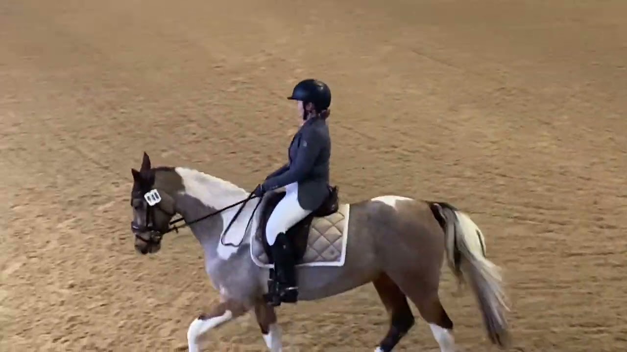 Tequila Tilly Dressage to music prelim 68% 1st place