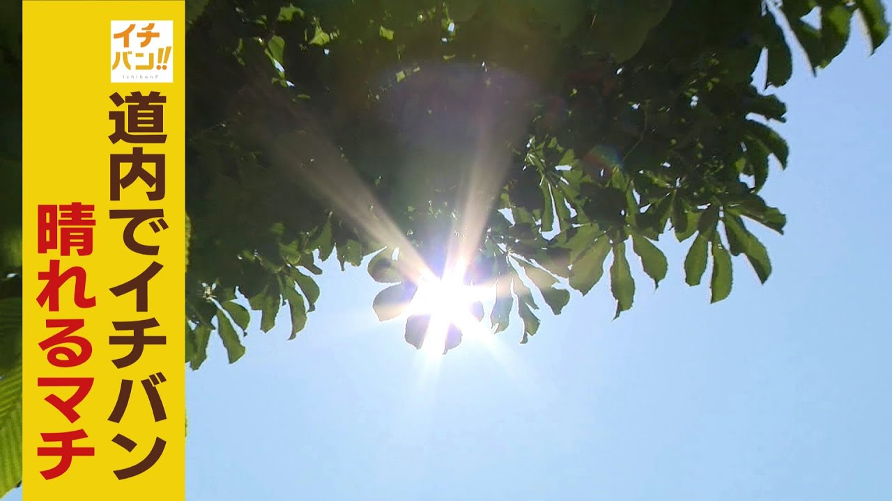 北海道でイチバン晴れの日が多い池田町　ワインも和牛も太陽の恵みで美味しく！