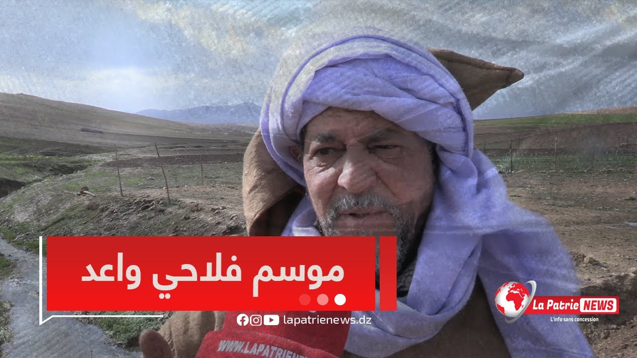 بعد غيثٍ طال انتظاره🌧… فلاحون #عين_الدفلى يستبشرون بموسم فلاحي واعد🌾
