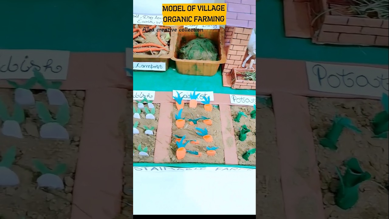 SUSTAINABLE FARMING WORKING MODEL FOR SCHOOL PROJECT 