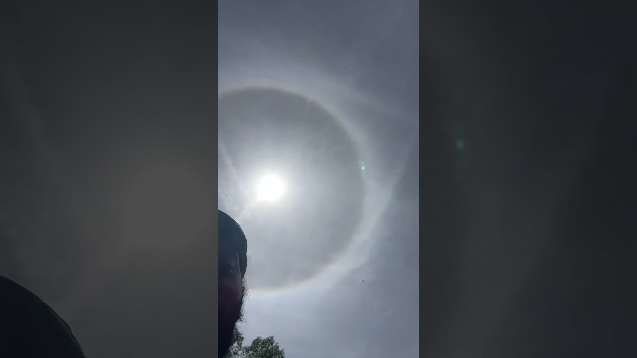 Solar eclipse sun in Florida! #florida #foryou #april8 #solareclipse #sun #blacksun