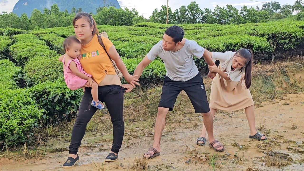 Chuong and his pregnant lover move to a new place - Thu and her daughter harvest cucumbers to sell