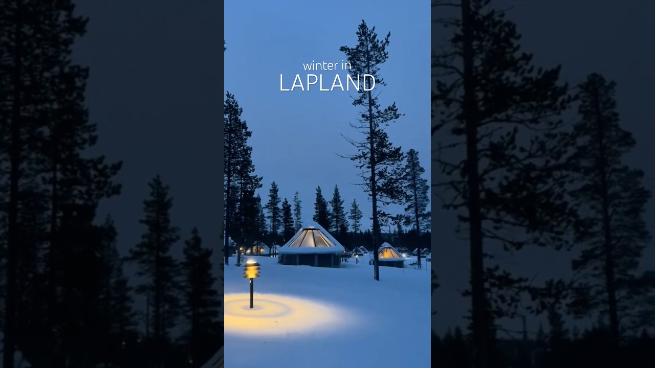 Lapland, Finland ✨ #finland #laplandfinland #winter #dogsled #reindeer #snow #travel #wintertravel