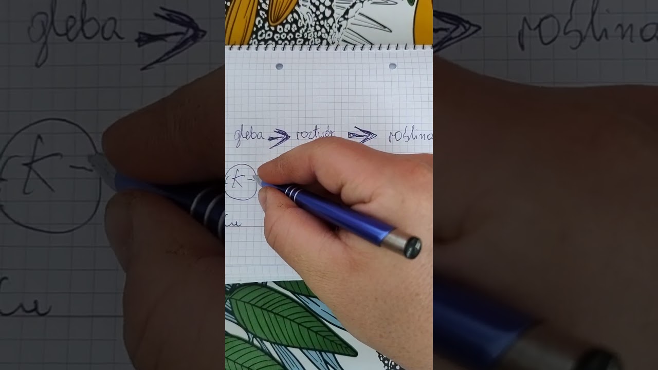 Kation&oacute;wka, po co ??