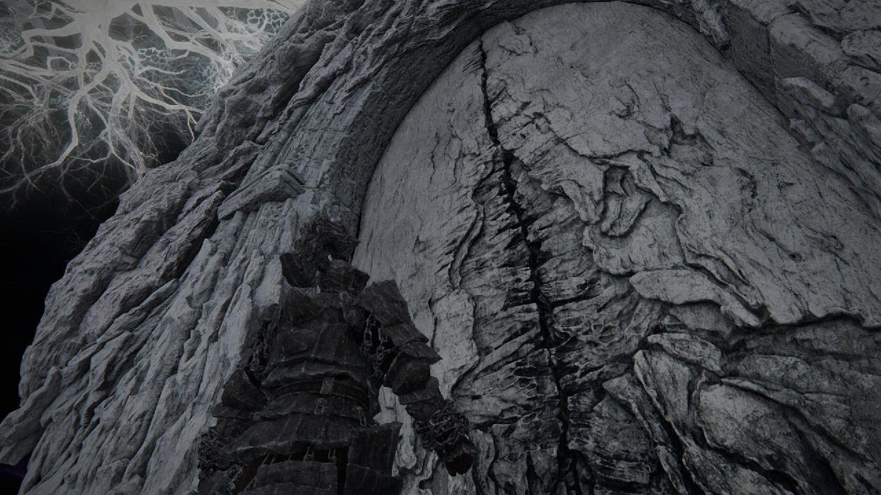 ELDEN RING NIGHTREIGN Deep of Night Raider w/ randoms VS Everdark Gnoster