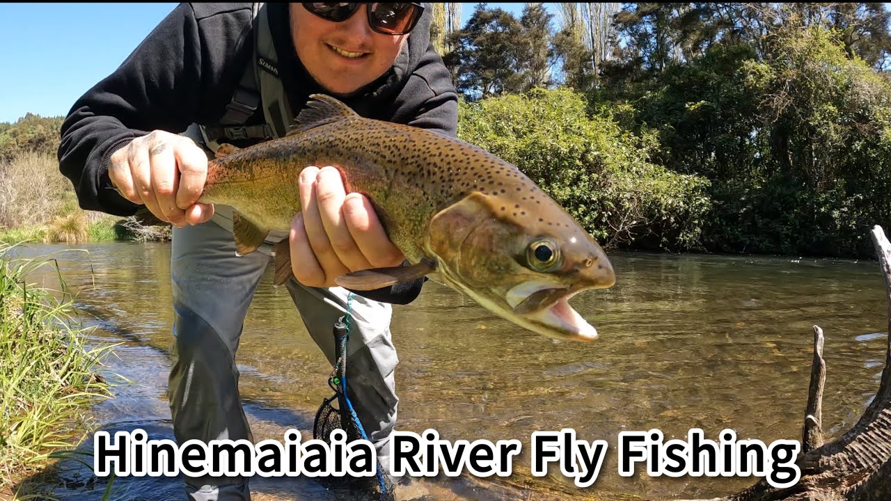 Hinemaiaia River Fly fishing