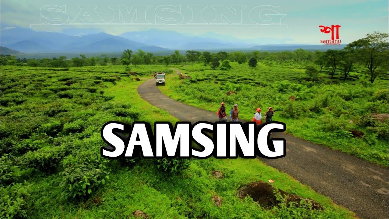 Samsing Tea Garden | Kumai Tea Estate | Samsing | North Bengal | Dooars | Best Travel Spot in 2021