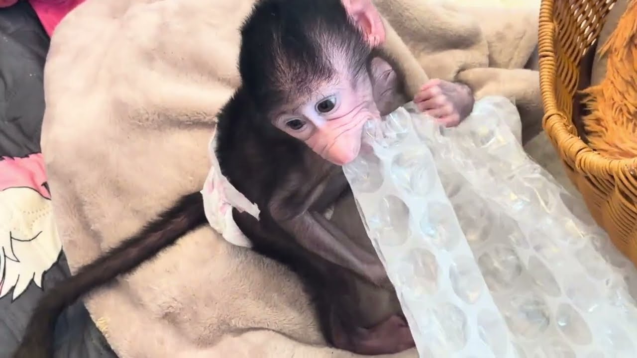 Николь распаковывает свою первую посылку! СТАРАЕТСЯ РЕБЕНОК😘