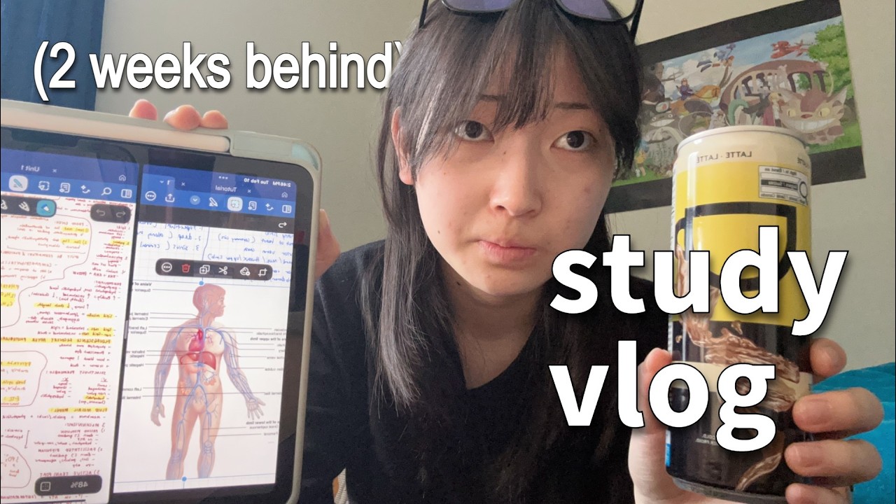 uni STUDY VLOG (day 2 of cramming)