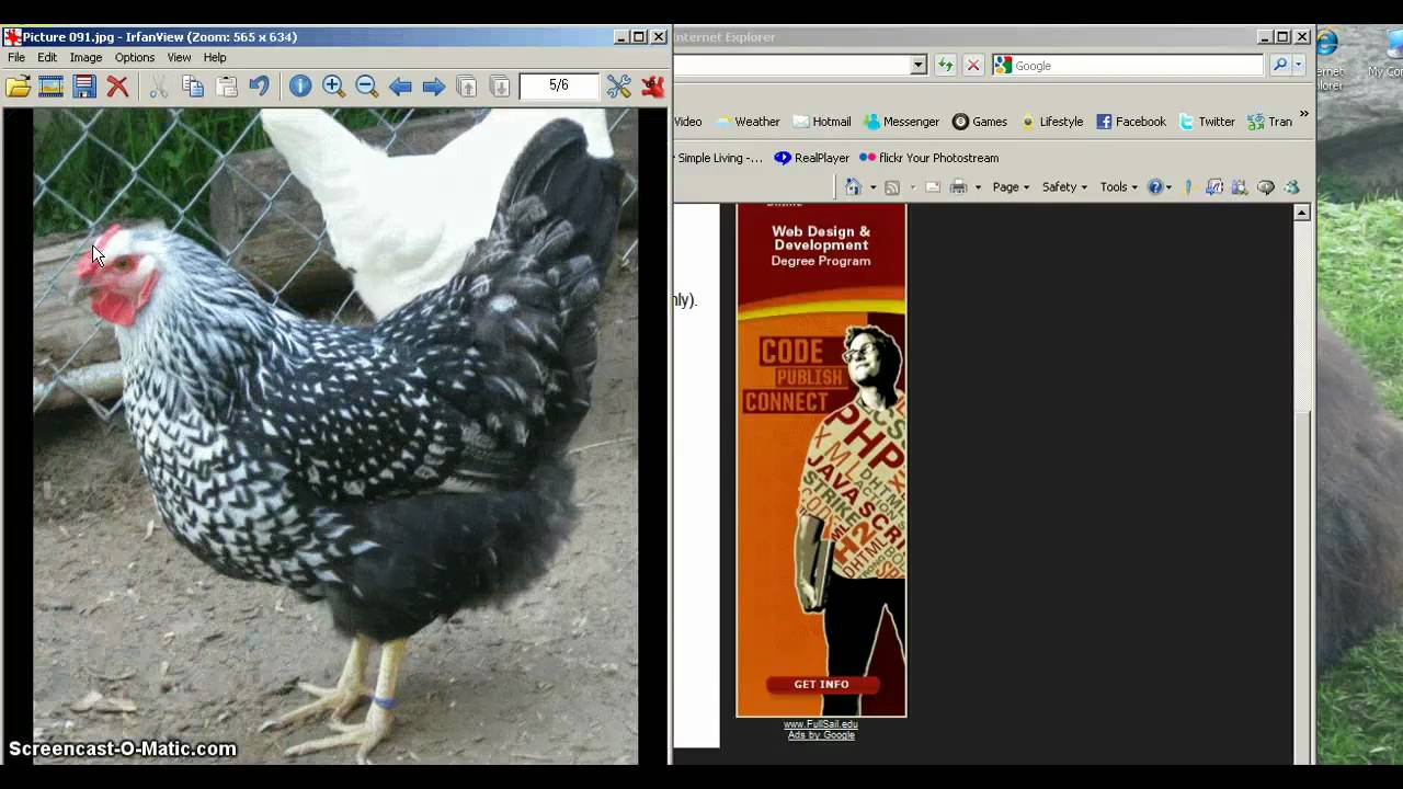 Editing in Irfanview