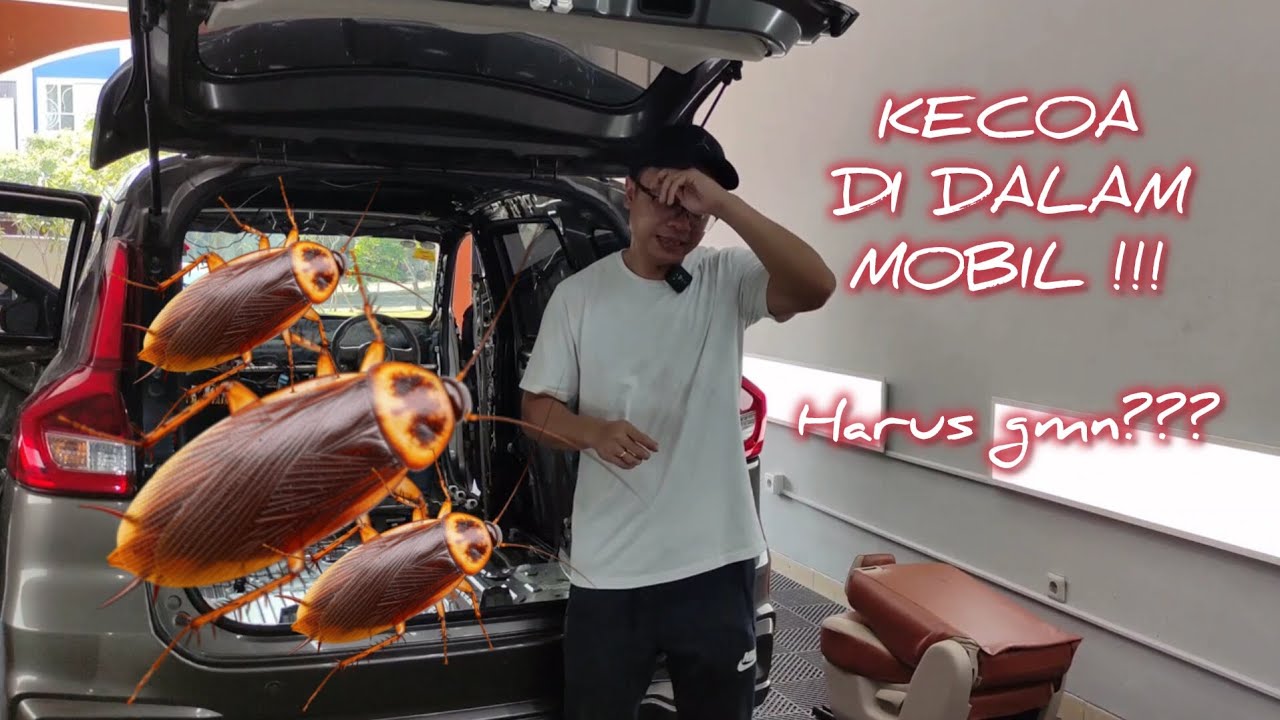 Kecoa di dalam mobil dan solusinya