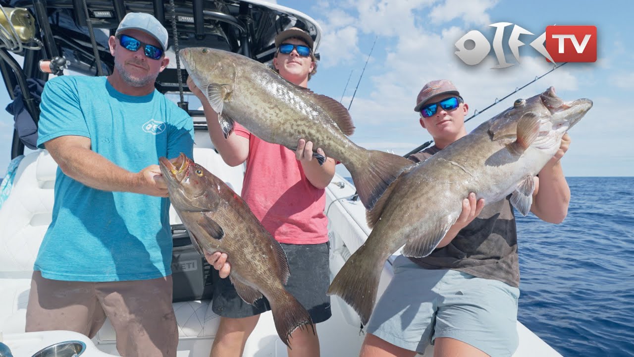 May Grouper Smackdown (Commercial Fishing)