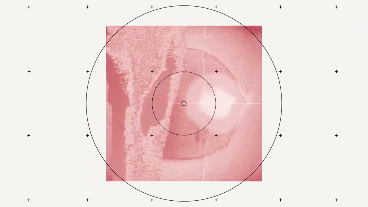 Simina Grigoriu - Divine Assignment | DCLTD