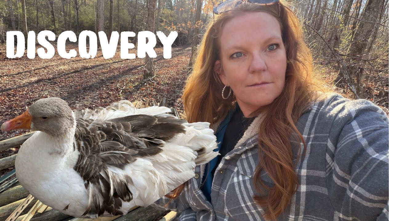 SHOCKED WAS AN UNDERSTATEMENT!