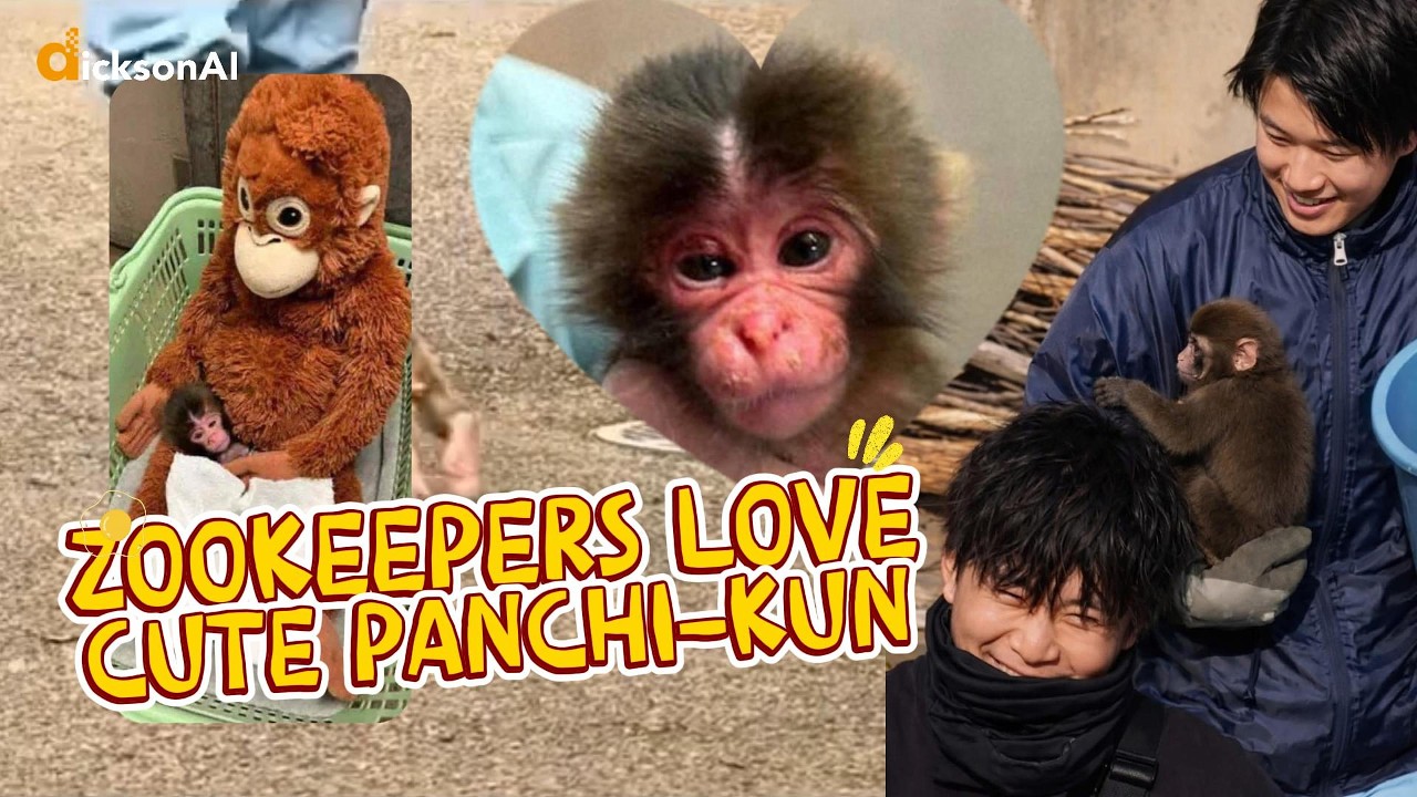 Zookeepers love Cute Panchi-kun