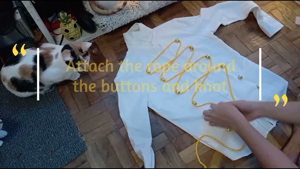 DIY Prince Costume 😁