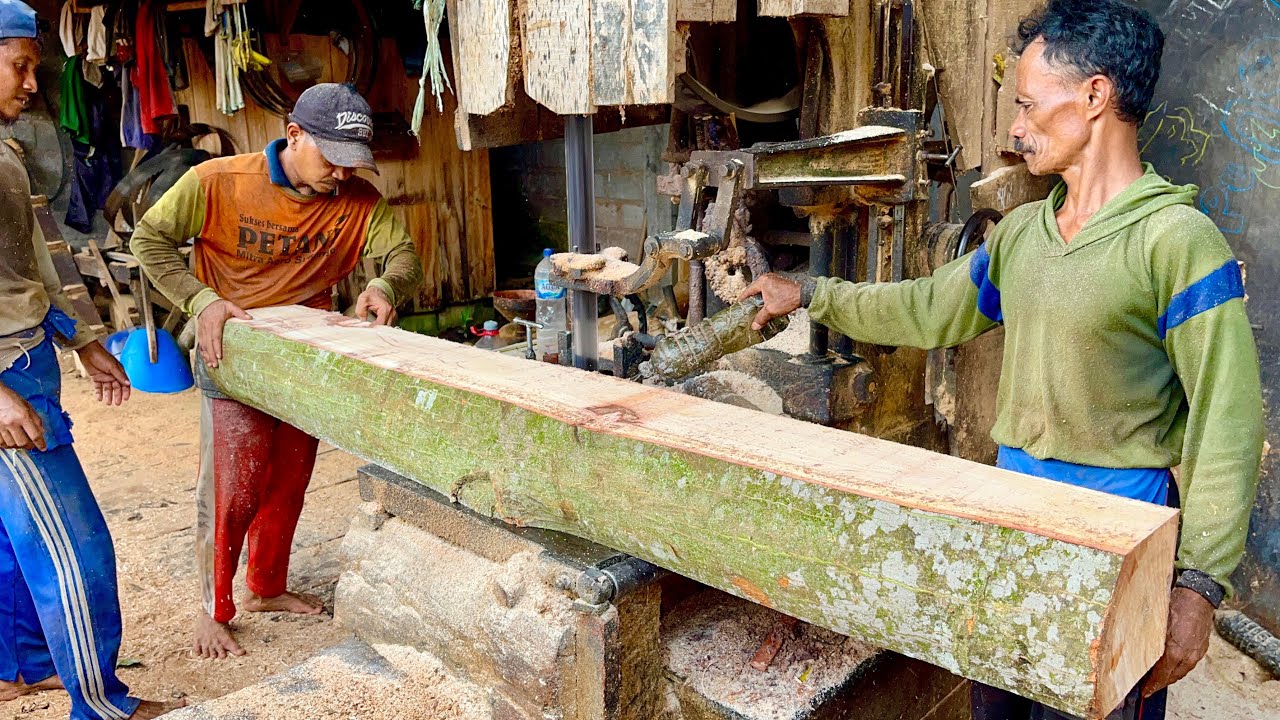 REPENTANCE!! This Operator is EXTRA Fast in Sawing Randu Wood Processed by Cast Board