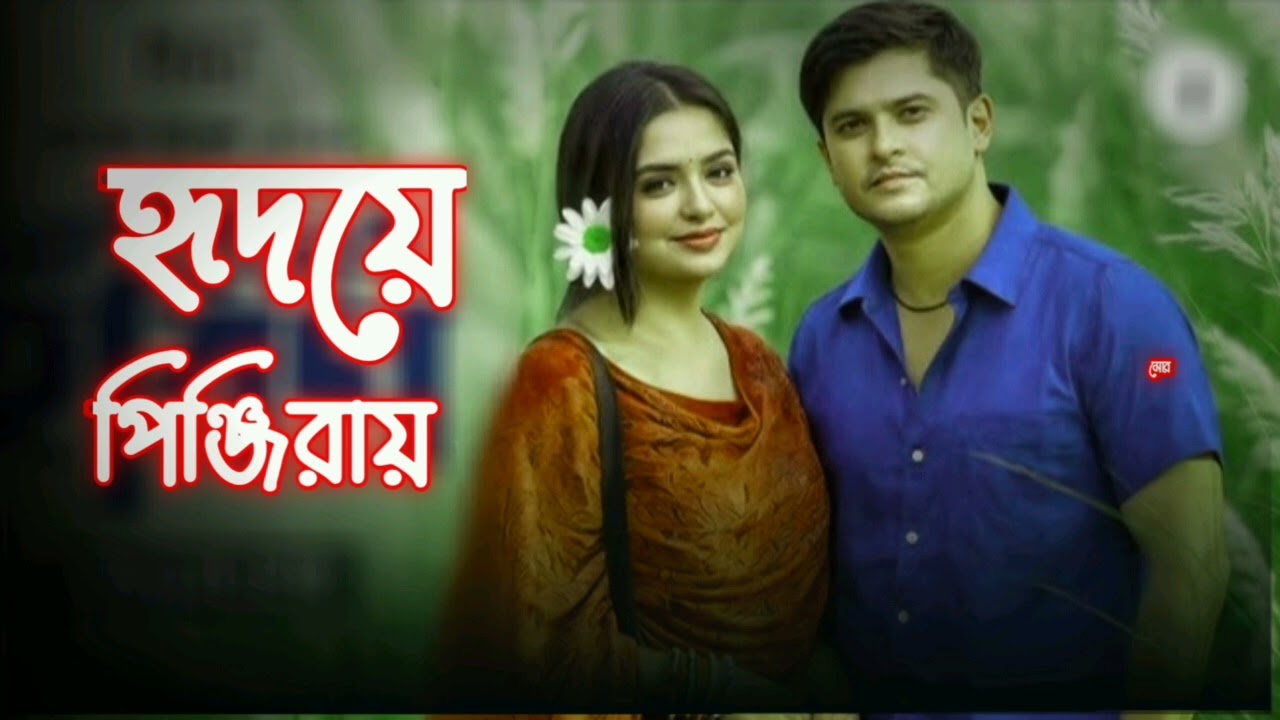 Hridoye Pinjiray | Emotional Bengali Romantic Song | Female Voice | Viral Bangla Love Song