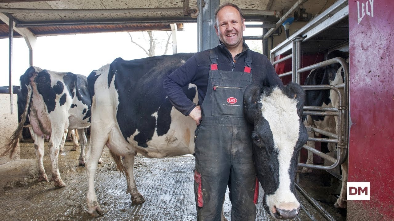 «Controlo el ordeño de cada vaca desde el móvil»