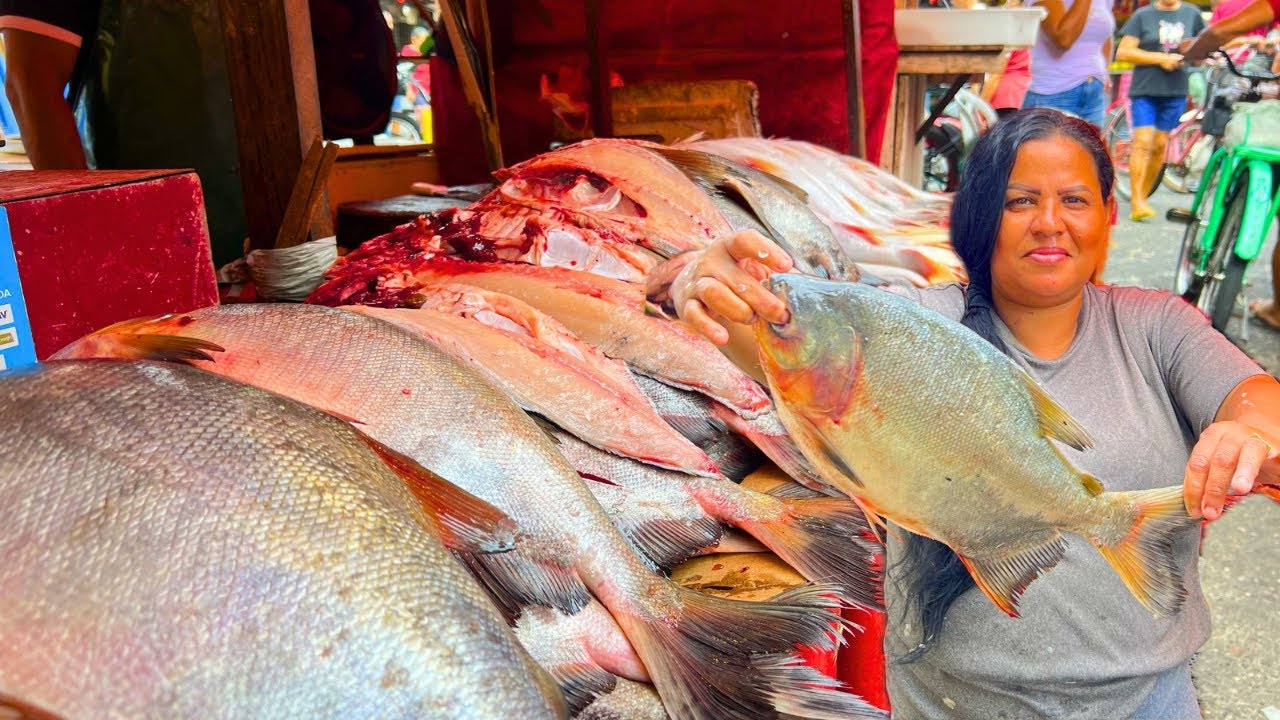 O QUILO DO TAMBAQUI BAIXOU! 🐟 10 REAIS NA FEIRA LIVRE?! 😱 (INACREDITÁVEL)