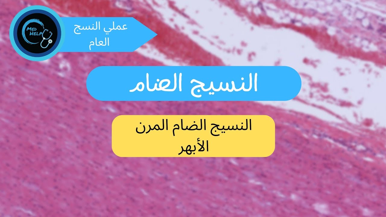 النسيج الضام المرن