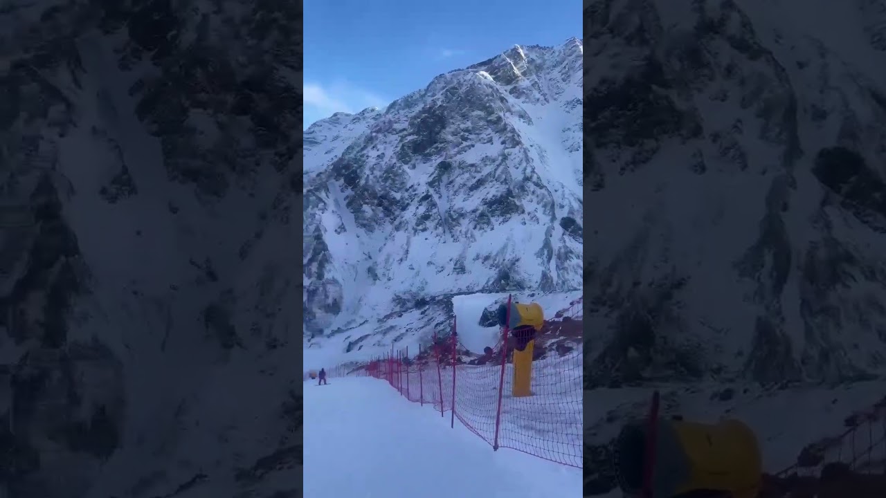 Настоящие местные жители горы Эльбрус 😎 