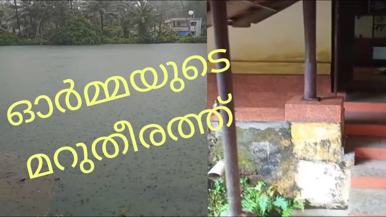 Onam Memories || Jijiz