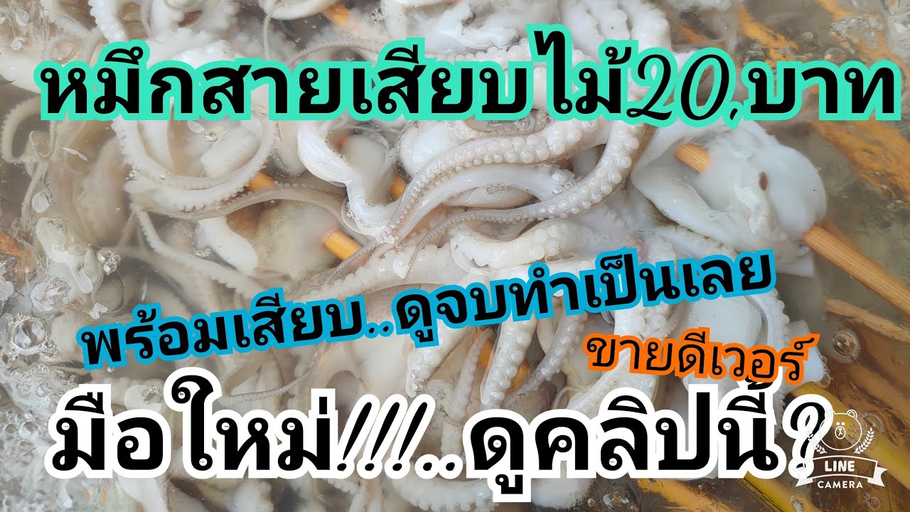 หนวดหมึกสาย.ต้นทุน145ขายได้380บาท.กกไร230บาทต่อ1กิโล